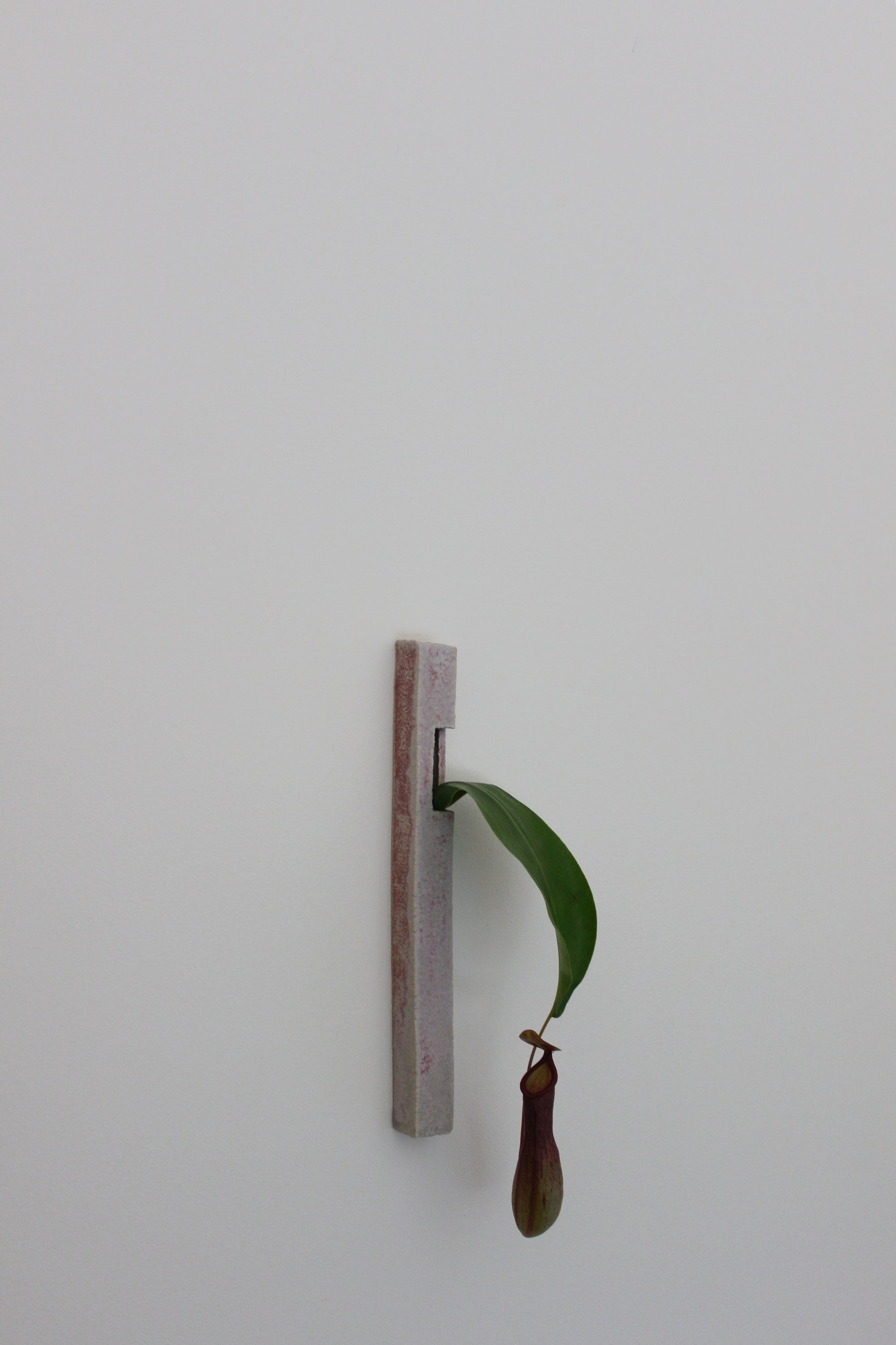 Wall Hanging Flute Vase